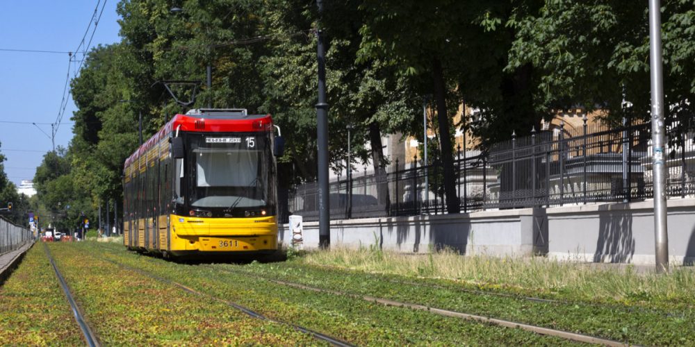 Zielone torowisko 1