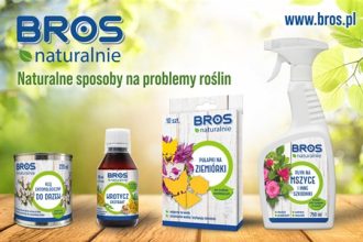 bros_