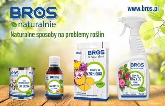 bros_